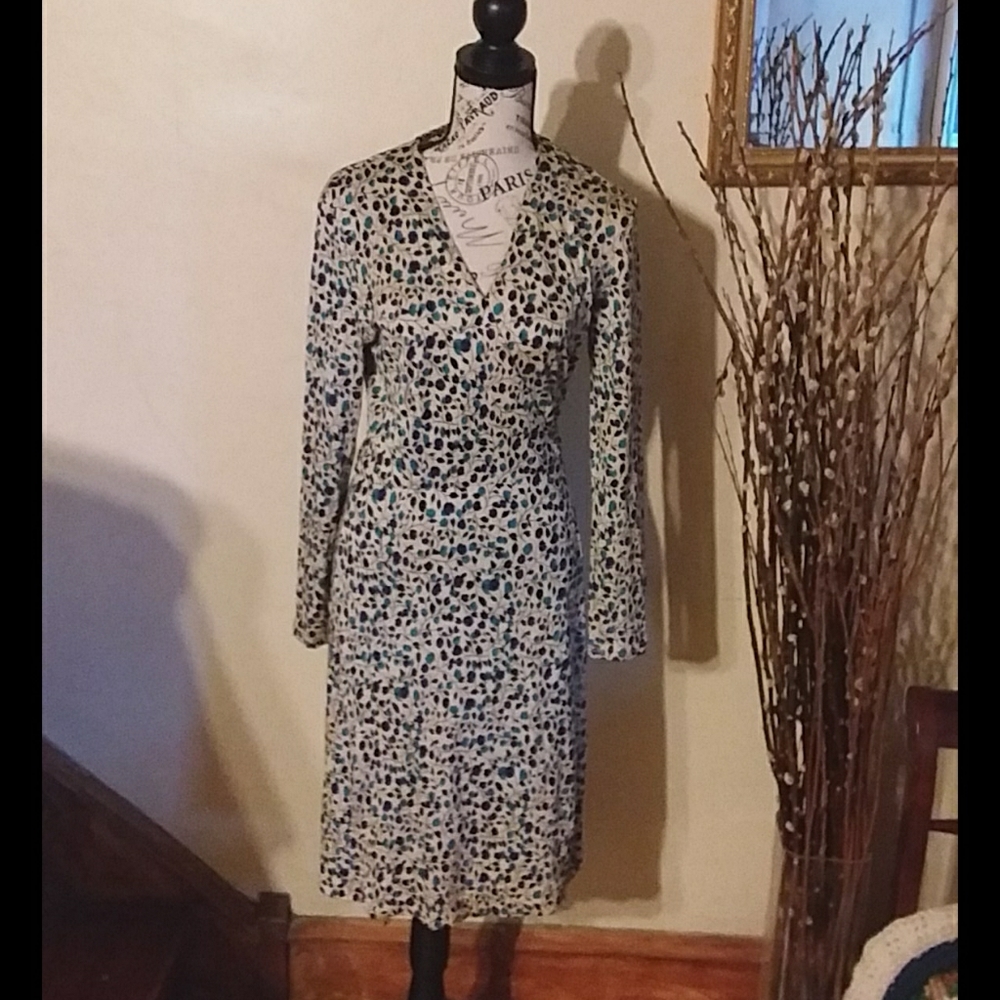 Diane VonFurstenberg Wrap Dress